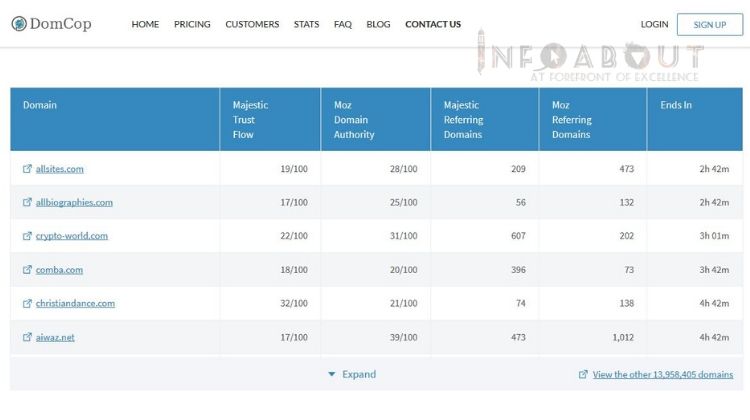 expired domains business deleted domains auction backorder dropped domains Expired Domain Crawler Finder api checker