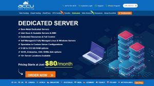 cost of dedicated server linux windows black friday hosting vs shared in india services amazon chicago comparison singapore small dubai data cloud hosting